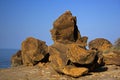 Ancient Fossils at Kutch,India Royalty Free Stock Photo